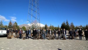 Develi'de 12 bin ceviz ağacı dağıtıldı