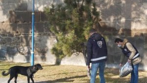 Hayvanların kısıtlamadan etkilenmemesi için polis doğaya yem bıraktı