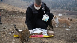 Kayseri İl Tarım ve Orman Müdürlüğü soğuk havalarda sokak hayvanlarını unutmadı