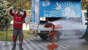 Kocasinan'da sevimli küçük dostlara yem ve mama takviyesi