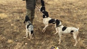 Sokağa çıkma kısıtlamaları avcıları olumsuz etkiledi