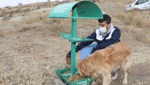 Talas'ta sokak hayvanlarına yardım eli