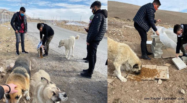 AK GENÇ MELİKGAZİ SOKAK HAYVANLARINI UNUTMADI