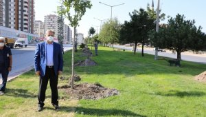 Başkan Mustafa Palancıoğlu: 