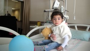 Hareketsiz şekilde geldiği hastaneden yürüyerek taburcu oldu