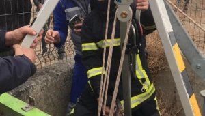 İtfaiyenin hayat kurtaran eli