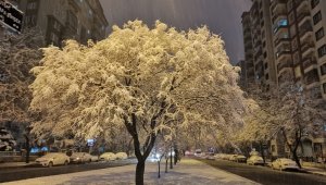 Kayseri'ye yılın ilk karı düştü