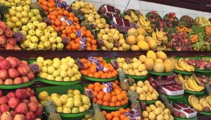 STK’LAR GÖREV BAŞINA