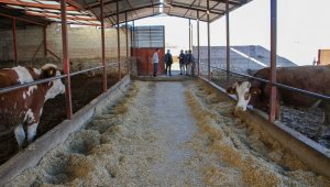 Talaslı üreticilere uzaktan eğitim, yerinde soru-cevap