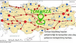 Tomarza için Canlı Hayvan Pazarı Projesi