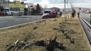 Üç takla atan otomobil ağaçlara çarparak durabildi
