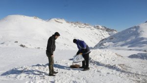 Yahyalı Belediyesi'nden yaban hayatına yem desteği