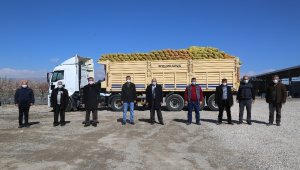 Develi'de ihtiyaç sahiplerine patates dağıtımına başlandı