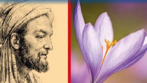 İBN-İ SİNA’NIN İLACI UMUT OLDU