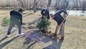 Kaymakam Cebeci'nin talimatıyla Tomarza'ya 10 bin fidan dikilecek