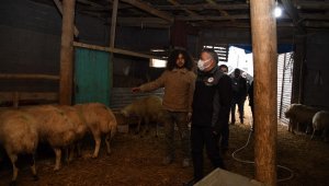 Mandıra filozofu besicilikte de başarılı oldu