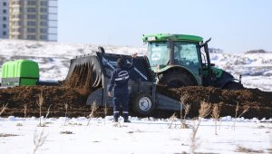 Talas'ta doğaya organik uygulama