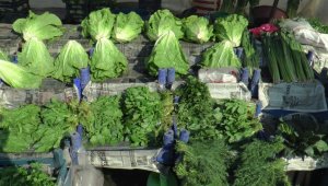 Yüzde yüze yakın gelen zam ile bu hafta zam şampiyonu marul oldu