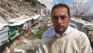 Arı yetiştiricilerinden çiftçilere 'ilaçlama' uyarısı