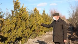 Başkan Çolakbayrakdar: "Yemyeşil bir Kocasinan inşa ediyoruz"