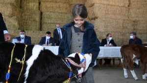 En güzel kuzu ve buzağı ödüllendirildi