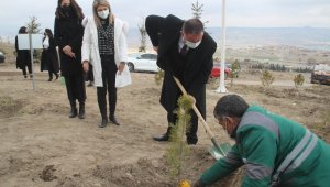 Kayseri Barosu Kadınlar Günü'nde ağaç dikti