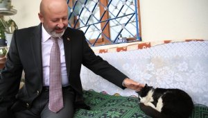 Kocasinan'dan küçük dostlara sıcak bir yuva olacak 'Kedi Kasabası'