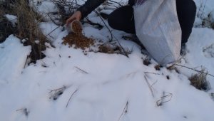 Matematik öğretmeninden örnek davranış