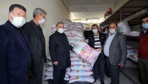 Talas çiftçisine tohum desteği artarak sürüyor