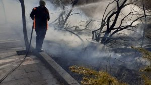 Yeşilhisar'daki yangında 10 ağaç kül oldu