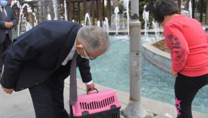 Başkan Büyükkılıç'tan otizmli Ayşe Nisa'ya 'kedi' sürprizi