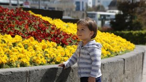 Büyükşehir, şehri çiçek bahçesine çevirdi