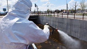 Kocasinan'da, huzurlu bir yaz için haşere ile mücadele devam ediyor