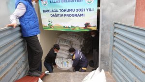 Talas'tan tohum desteği devam ediyor