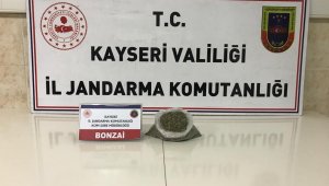 Jandarmadan uyuşturucu operasyonu: 1 gözaltı