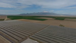 Kayseri elma yetiştiriciliğinde 5. sırada