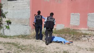 Metruk bina bahçesinde ölü bulundu