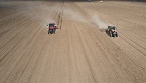 Tomarza ilçesinde kabak çekirdeği ekimi başladı
