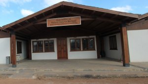 Vatandaşın bulduğu yavru kartala annesi gibi bakılıyor