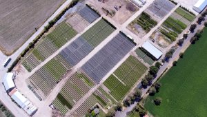 Yılda 1.5 milyon fidan üretip doğayı yeşillendiriyorlar