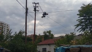 Bir garip intihara teşebbüs vakası