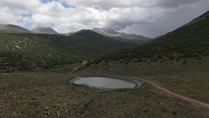 Büyükşehir 15 bin koyunu Erciyes'ten eriyen kar sularıyla rahatlattı