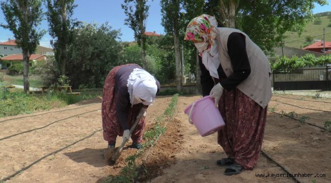Çiftçi kadınlar yeni projeleri ile pandemide de üretmeye devam ediyor