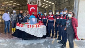 Kavga ihbarına gelen jandarma ekiplerine sürpriz