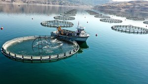 Kırsal Kalkınma İle Kayseri'ye 63 Milyon Liralık Yatırım