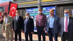 "Koyunlar Artıyor Meralar Şenleniyor" projesi ile 55 aileye bin 100 küçükbaş verildi
