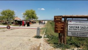 Sultan Sazlığı'nda park yeri sorunu çözüm bekliyor