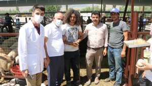 Başkan Öztürk'ten kurban pazarı ziyareti