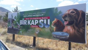 Bilboradlardan sokak hayvanları için su çağrısı