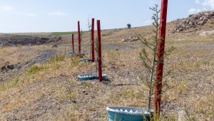 Büyükşehir ile 'daha az su tüketimi daha fazla yeşil alan'